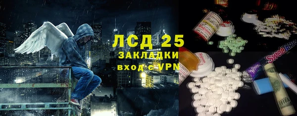 бошки Бородино
