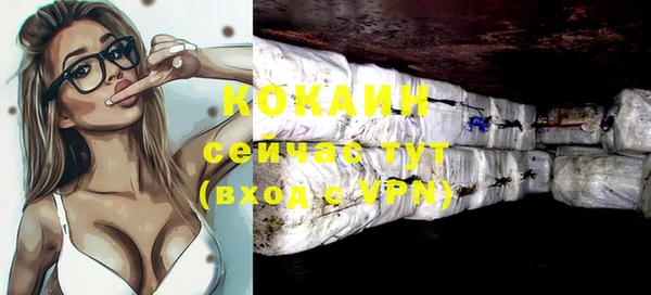 бошки Бородино
