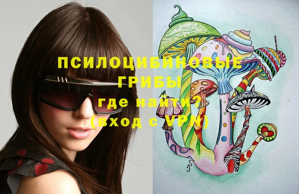 бошки Бородино