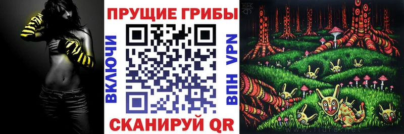 Псилоцибиновые грибы GOLDEN TEACHER Люберцы